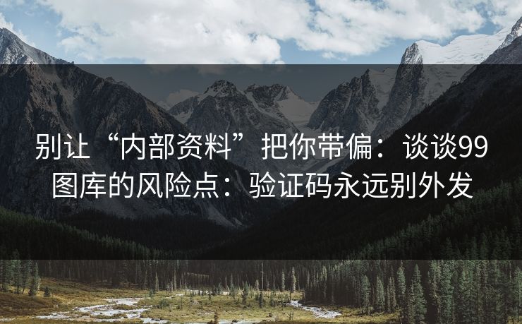 别让“内部资料”把你带偏：谈谈99图库的风险点：验证码永远别外发