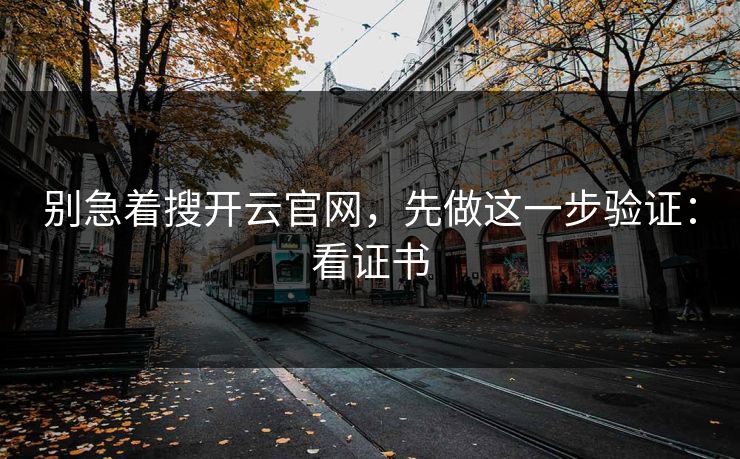 别急着搜开云官网，先做这一步验证：看证书