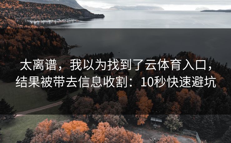 太离谱，我以为找到了云体育入口，结果被带去信息收割：10秒快速避坑